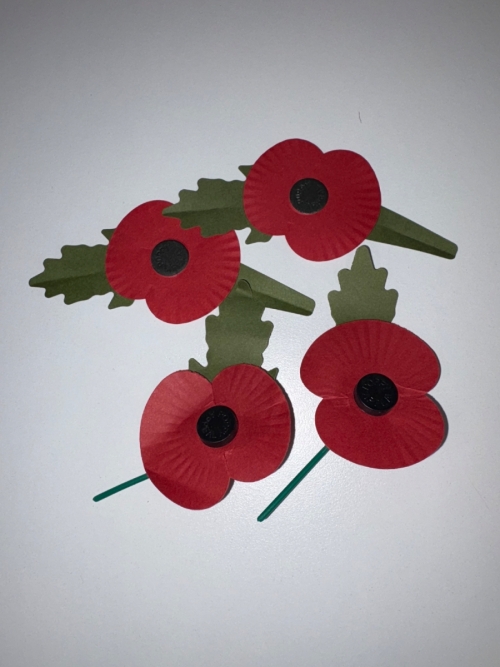 Paper poppy